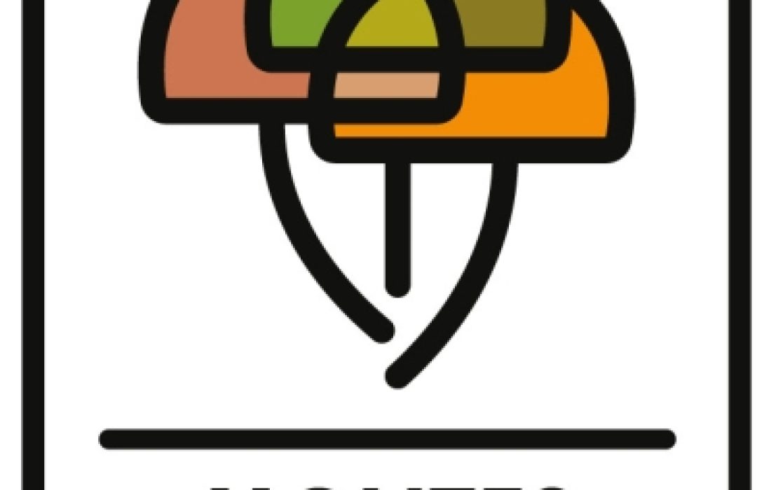 Ruta micologica y taller de reposteria en Quintanilla de tres barrios. Tursoria