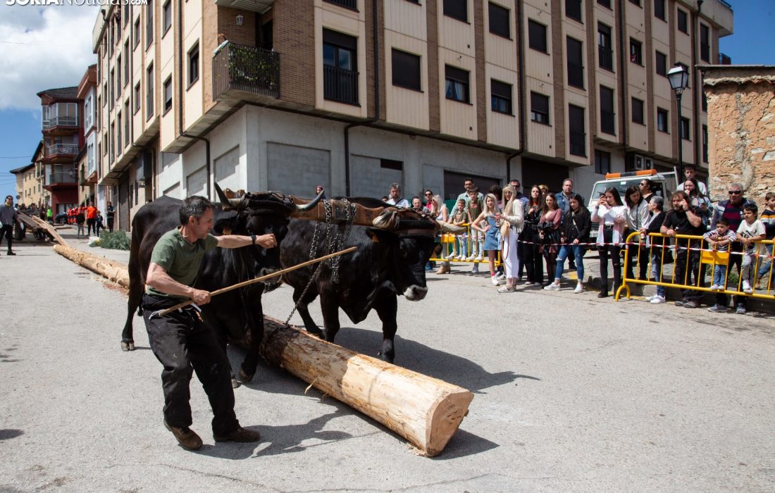 tursoria la pingada del mayo en San leonardo