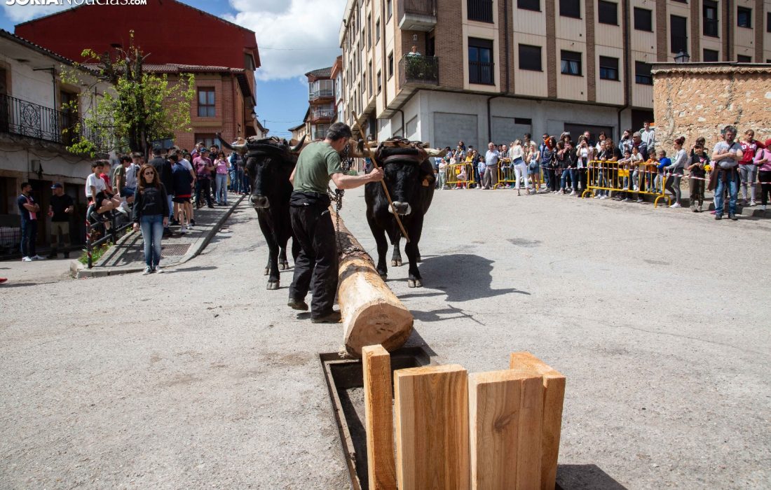 tursoria la pingada del mayo en San leonardo