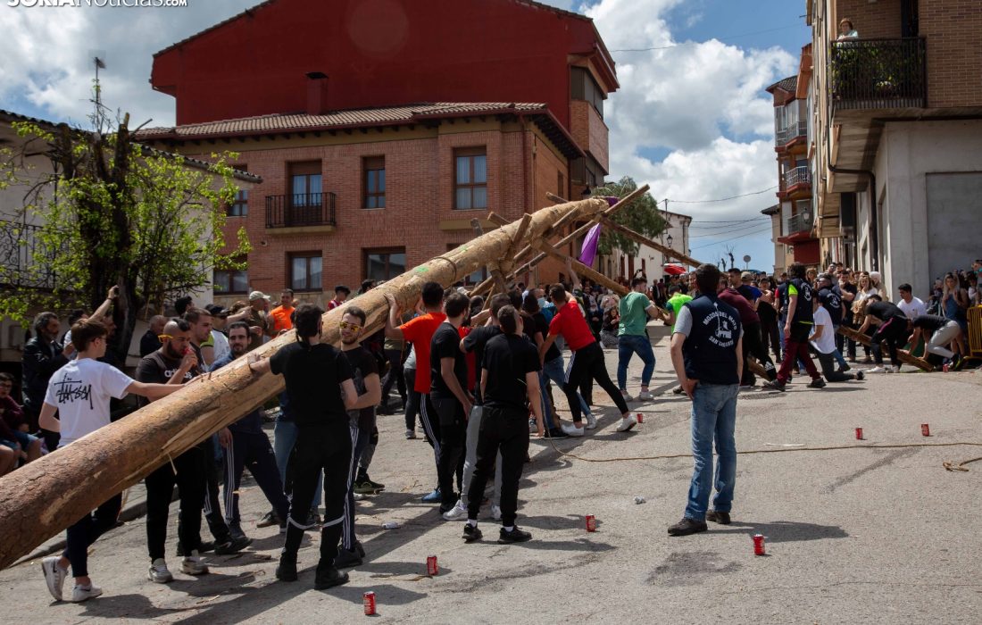 tursoria la pingada del mayo en San leonardo