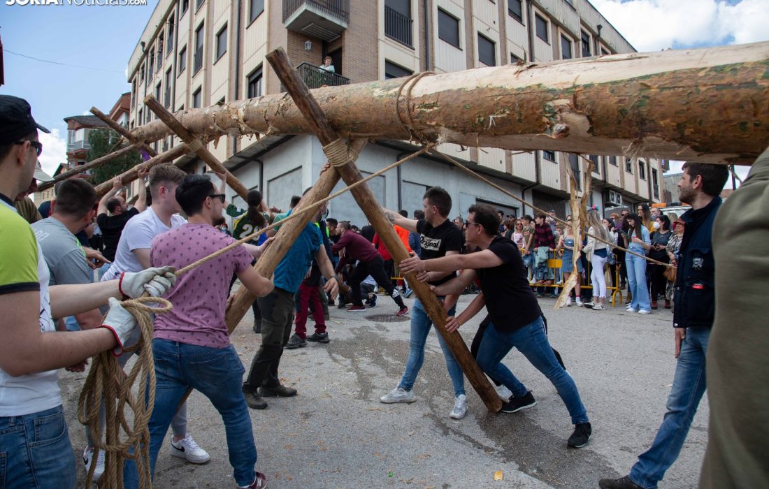 tursoria la pingada del mayo en San leonardo