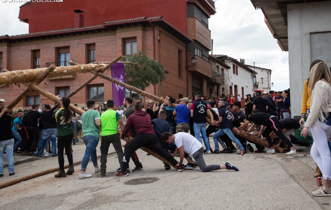 tursoria la pingada del mayo en San leonardo