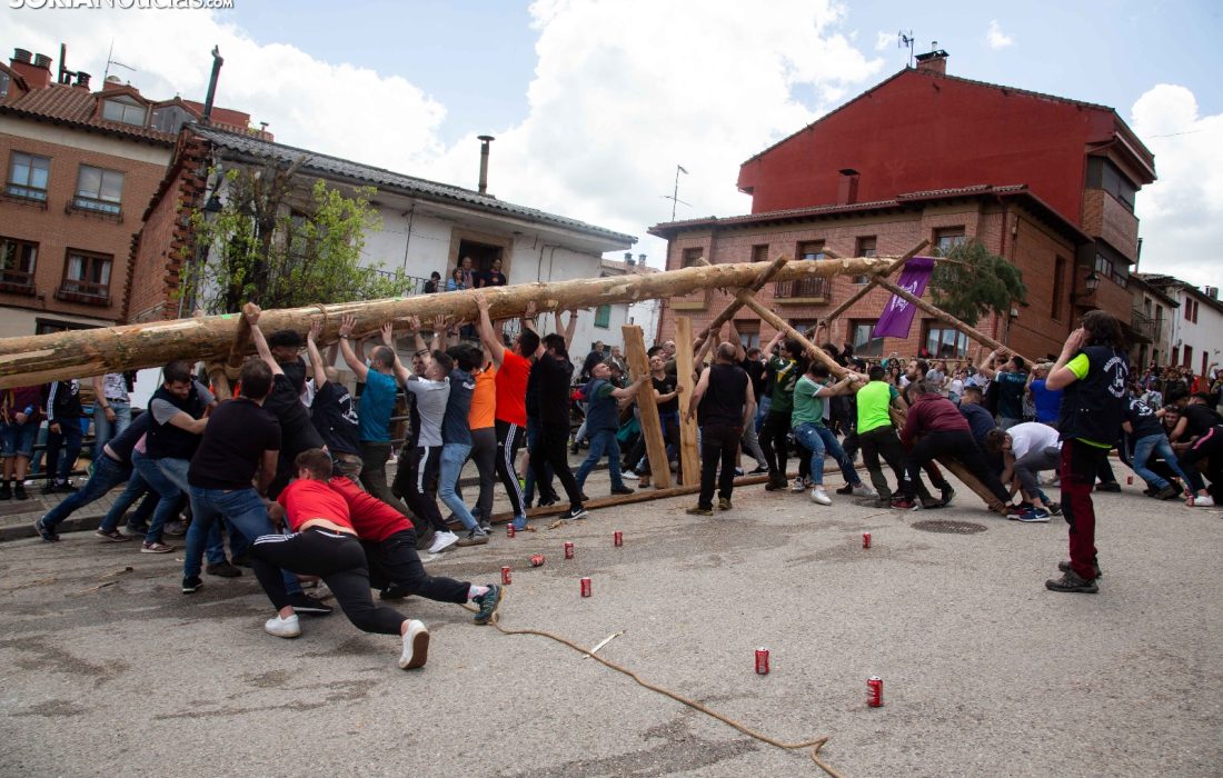 tursoria la pingada del mayo en San leonardo