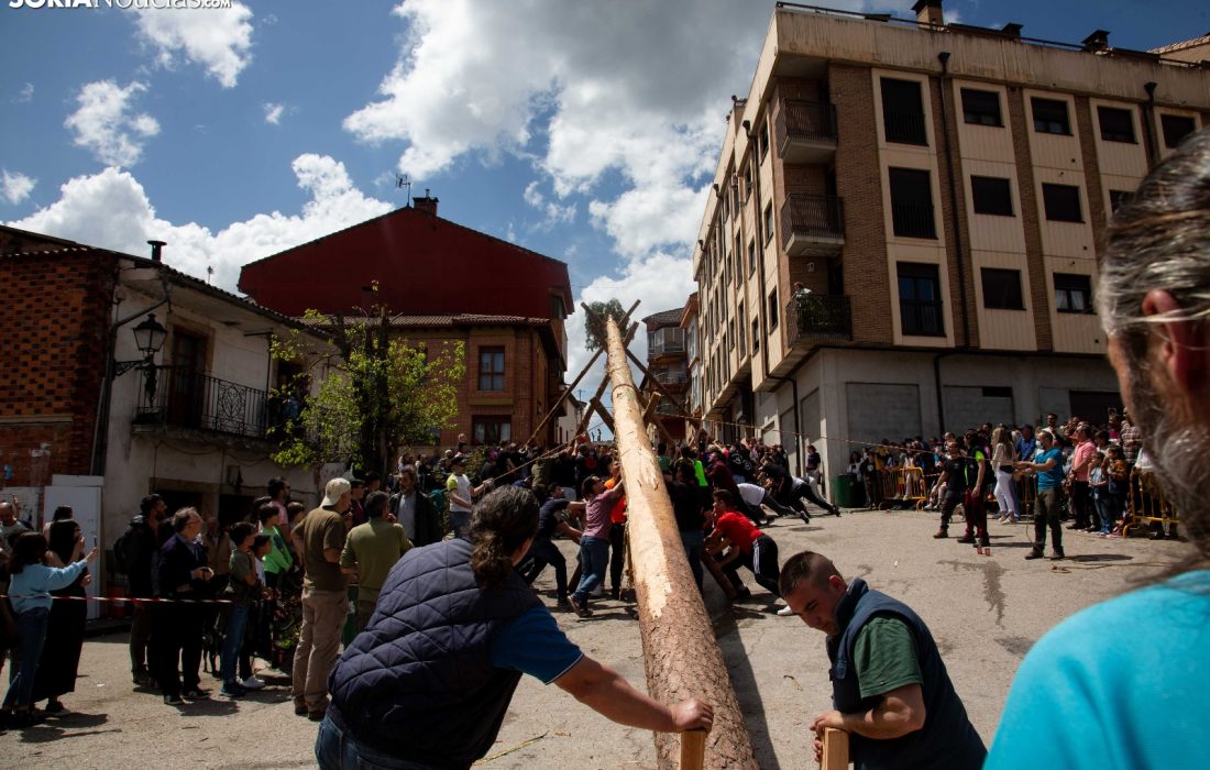 tursoria la pingada del mayo en San leonardo