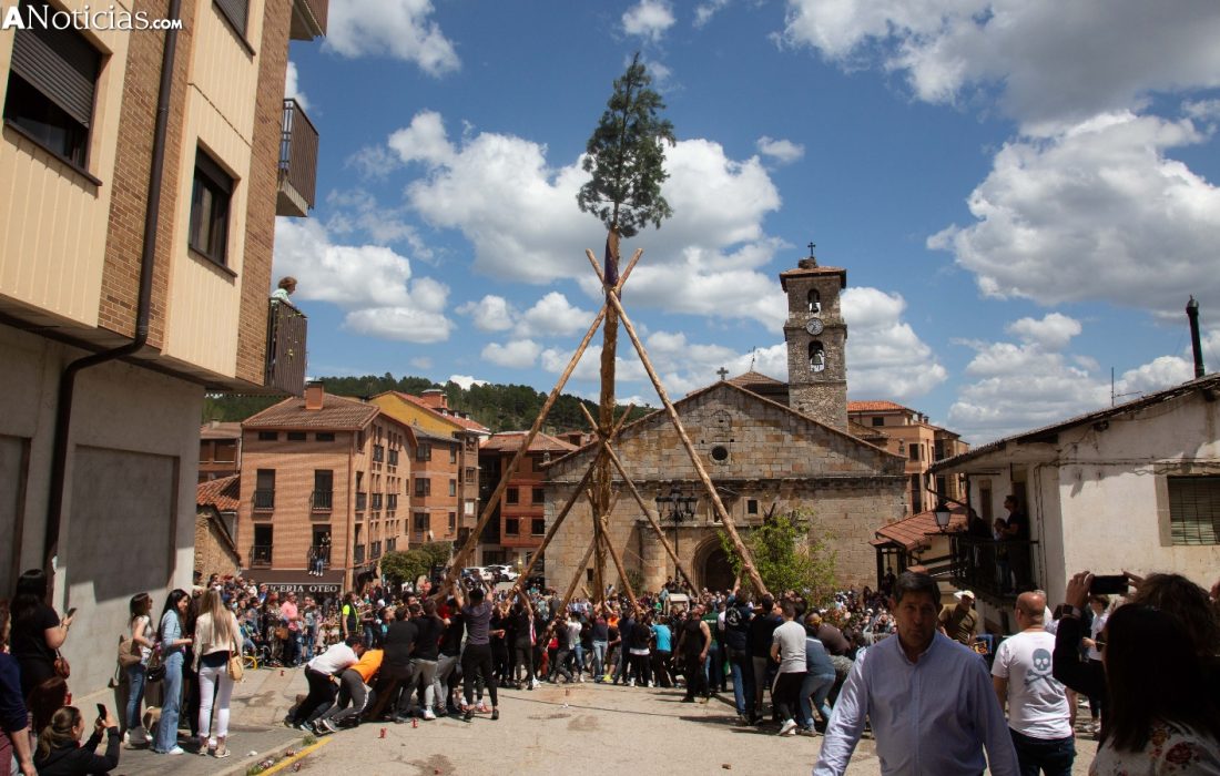 tursoria la pingada del mayo en San leonardo