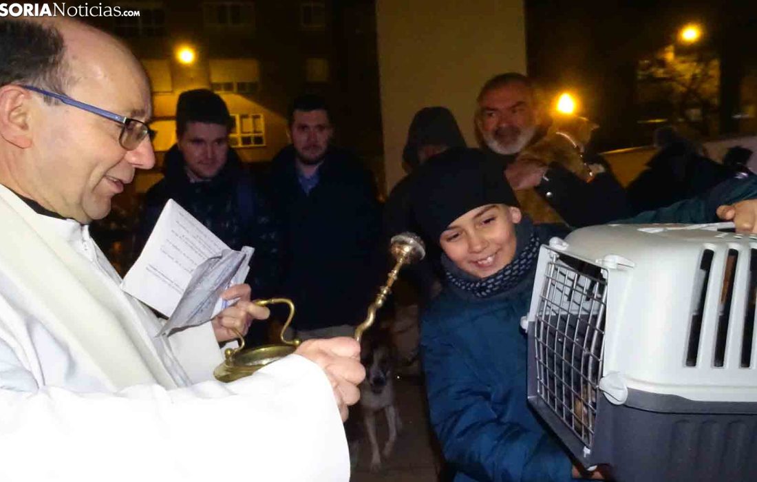 Bendicion de los animales en San Anton. Tursoria