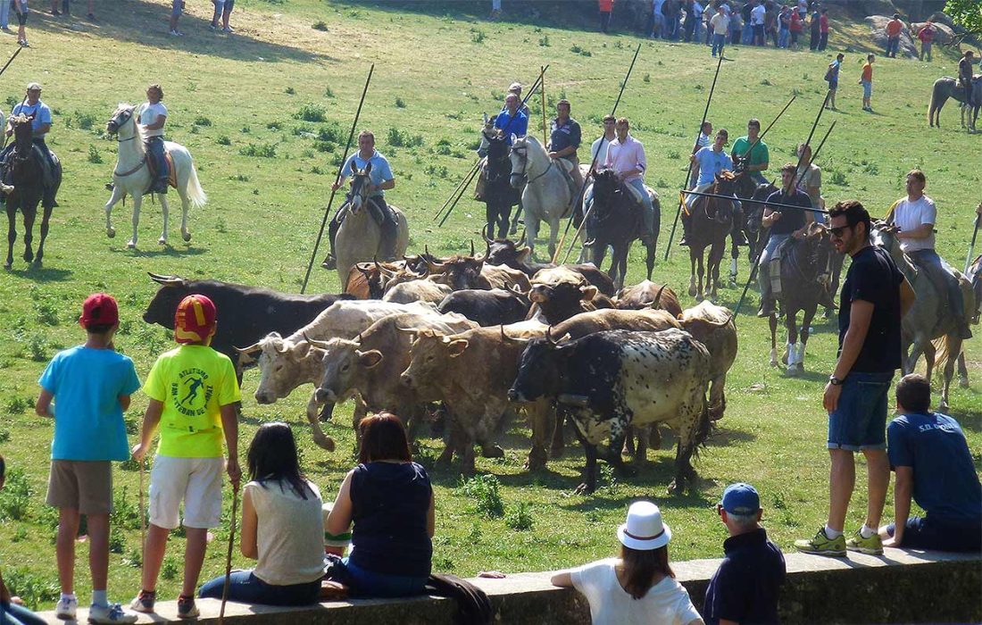 Tursoria el lavalenguas