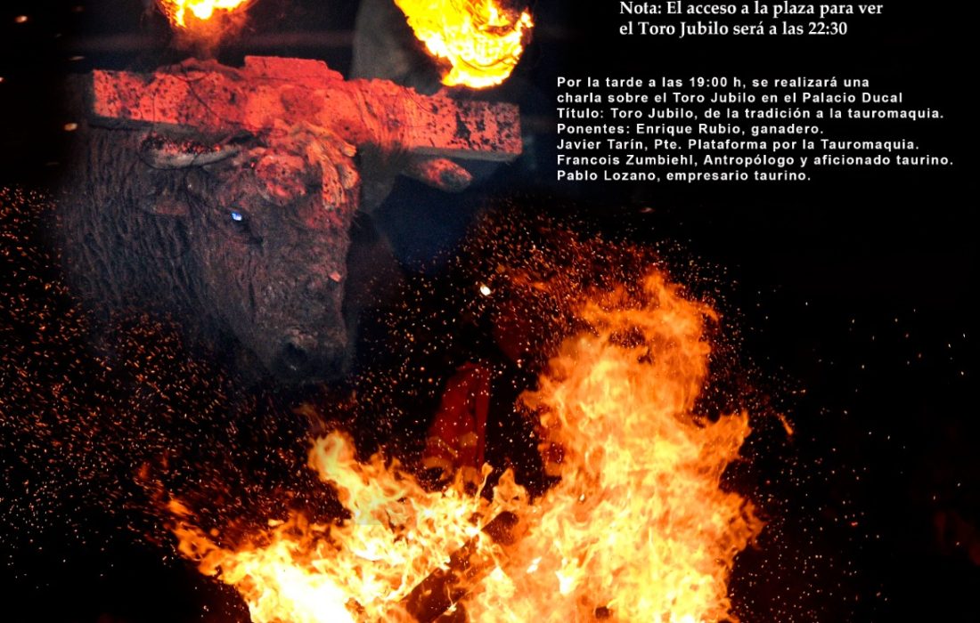 Toro jubilo en medinaceli. Tursoria