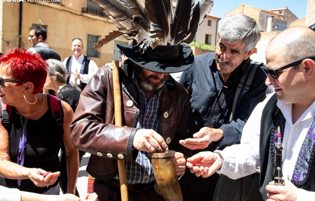 Tursoria la soparra de Almazan