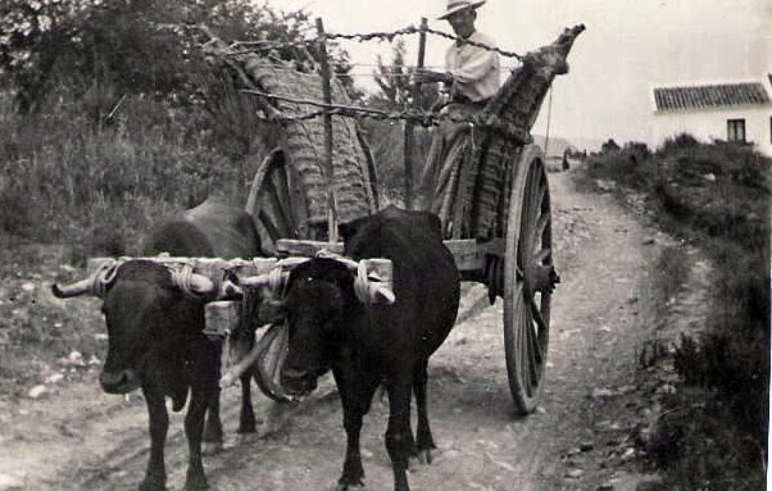 Ruta Carreteril Tursoria