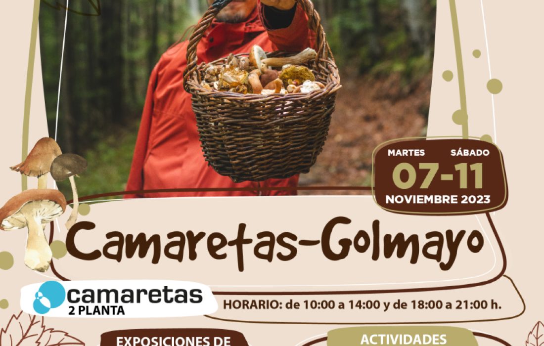 Pasteleria micologica en Camaretas. Tursoria