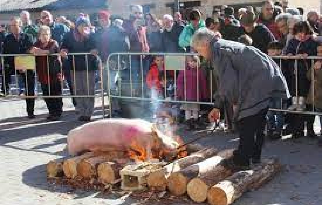 Tursoria. Matanza del cerdo en navaleno