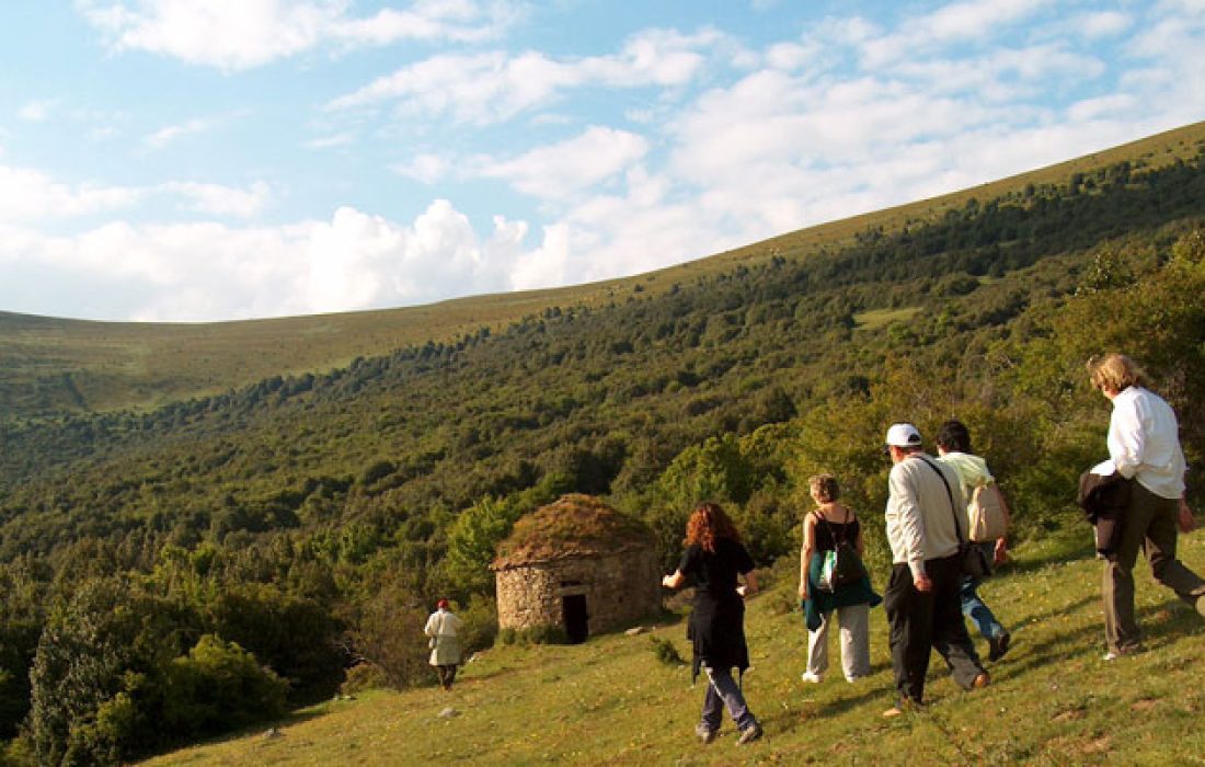 Tursoria naturaleza
