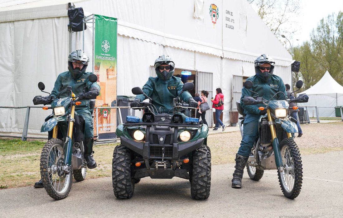 "Feria Venalmazán" en Almazán