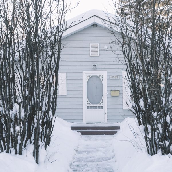 house-with-bushes-winter