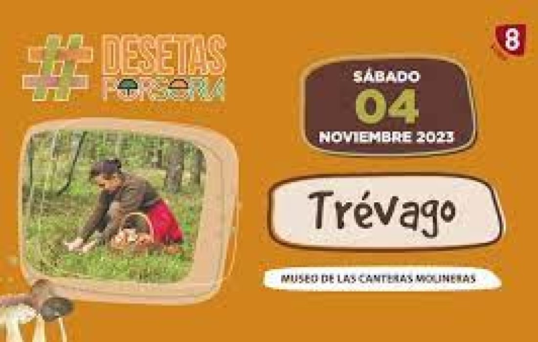 De setas por soria en trevago. Tursoria