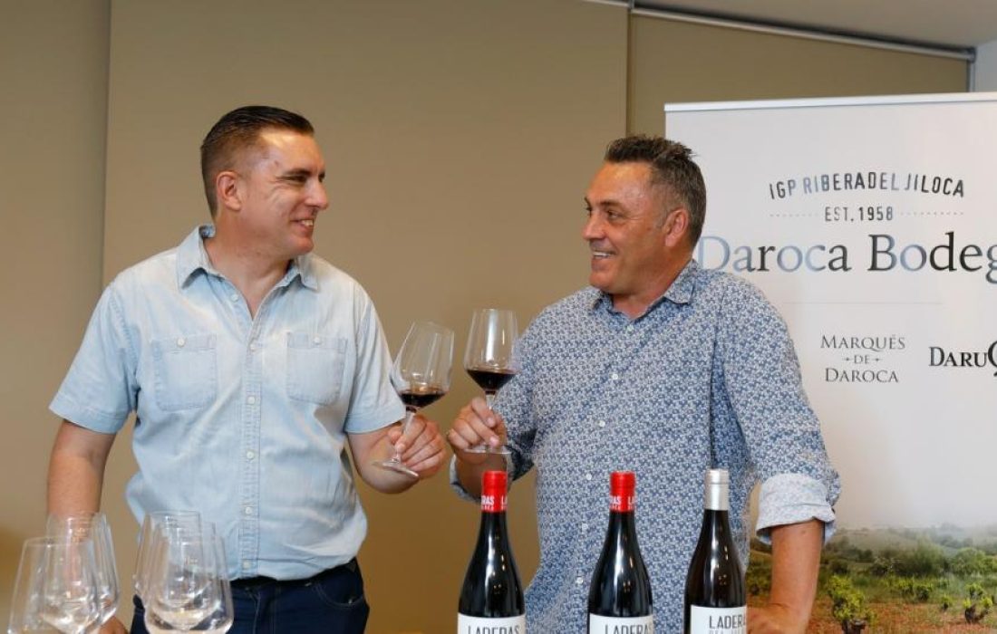 Encuentro con viñas viejas en Soria. Tursoria
