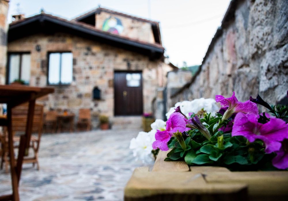 Tursoria hotel la piñorra