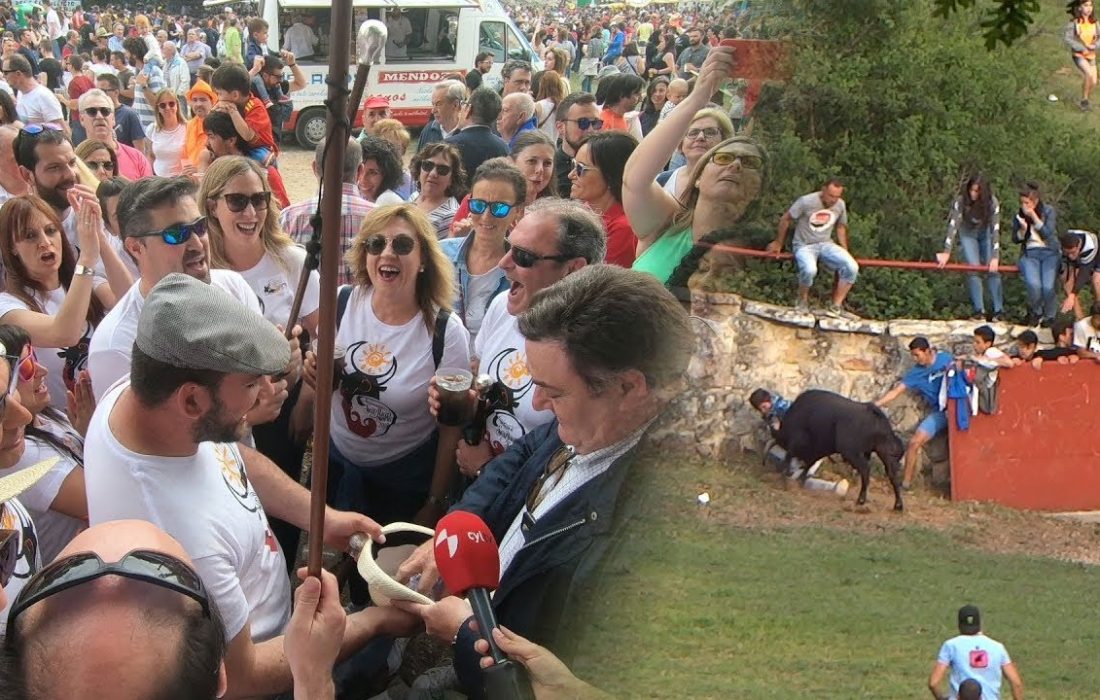 Tursoria el lavalenguas