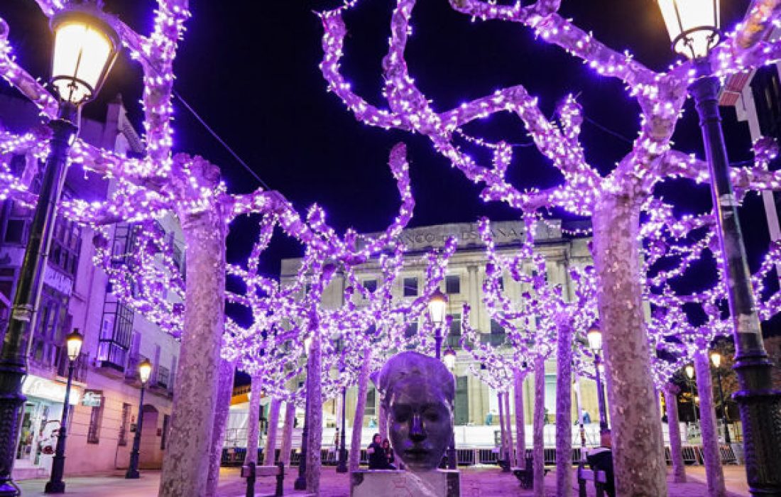 Tursoria mercado navideño