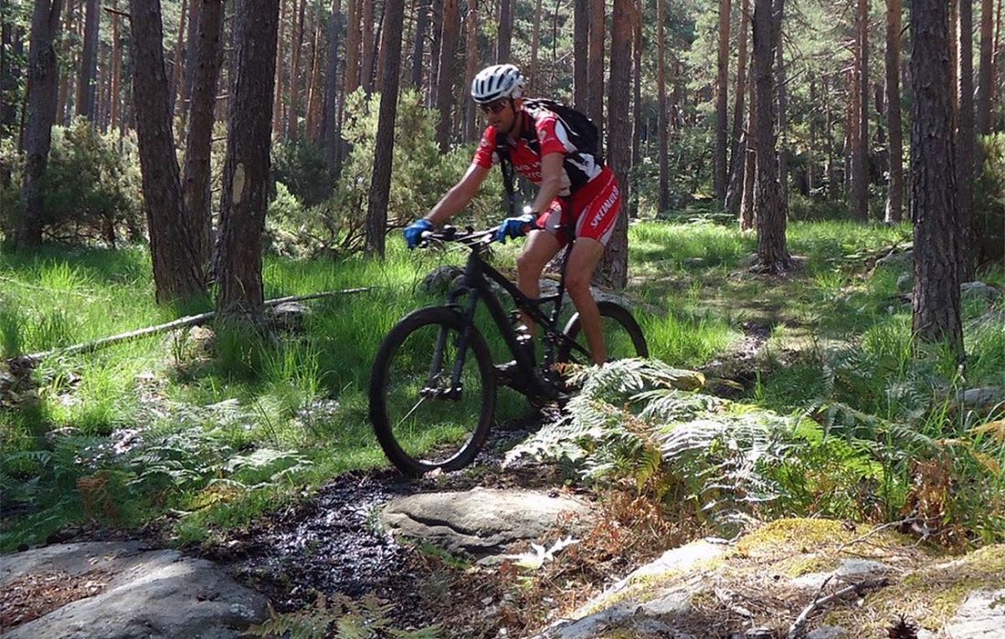 Tursoria BTT Urbion