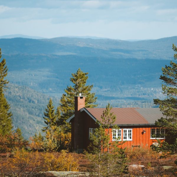 A vertical shot of a wooden cabin in a forest with beautiful rocky mountains in the background in Norway