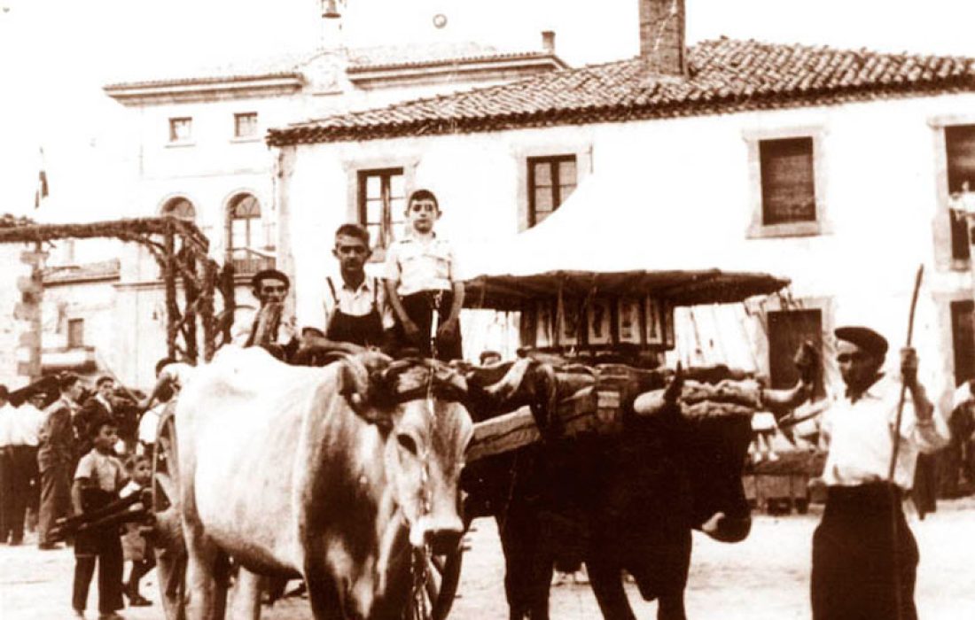 Ruta Carreteril Tursoria